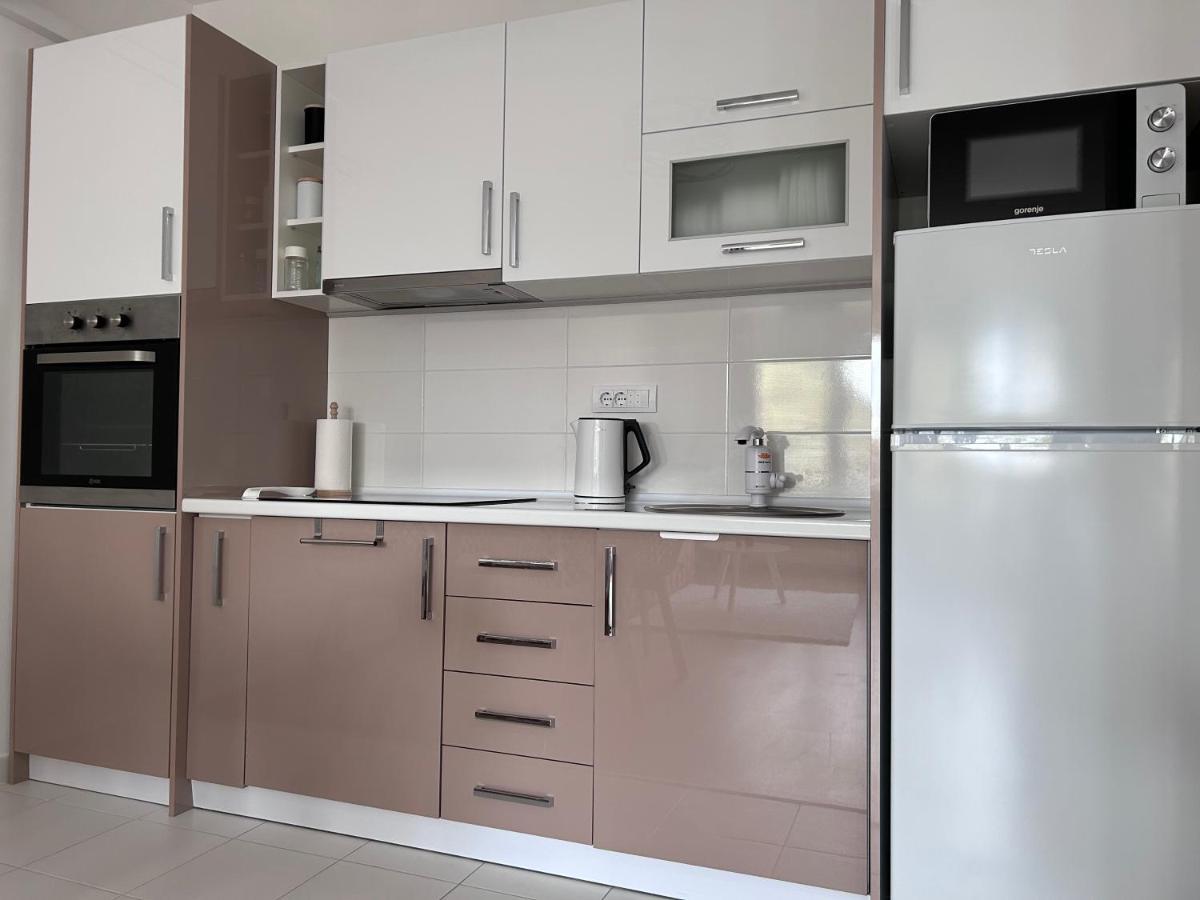 Apartment By The Synagogue Novi Sad Bagian luar foto