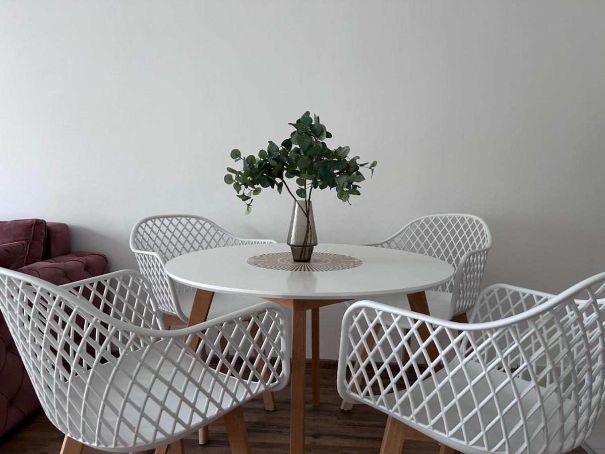 Apartment By The Synagogue Novi Sad Bagian luar foto